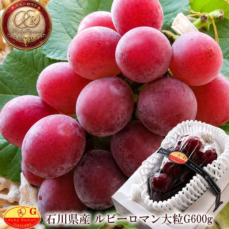 8中下旬より出荷 石川県産[ルビーロマン大粒G秀品600g]