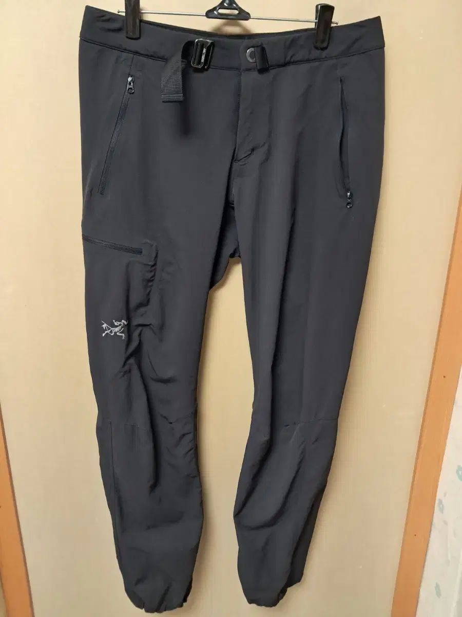 ARC'TERYX アークテリクス GAMMA(ガンマ) LT レディース カーゴ ジョガー パンツ 4 (27 28)