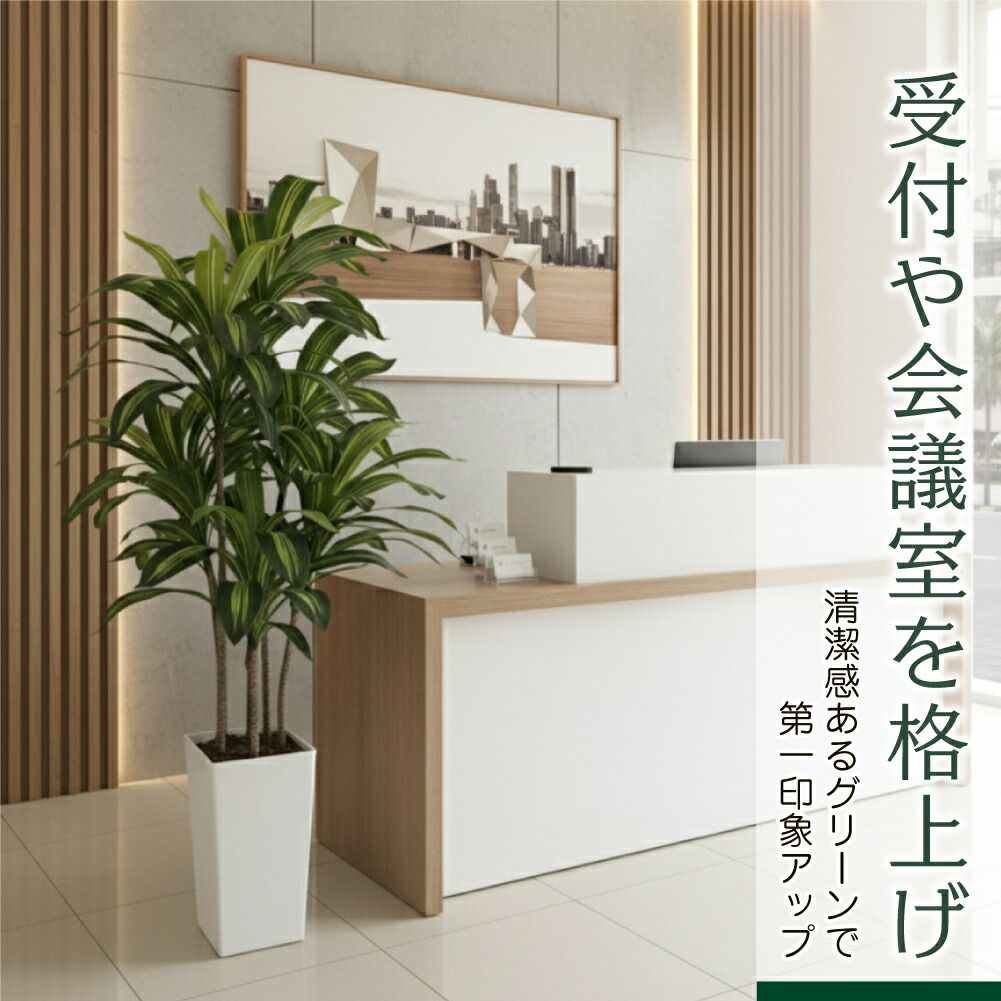 大型 フェイクグリーン ドラセナ 150cm 白鉢付 インテリア 観葉植物 新品・未使用】 150cm フェイクグリーン ドラセナ 150cm 大型 観葉植物