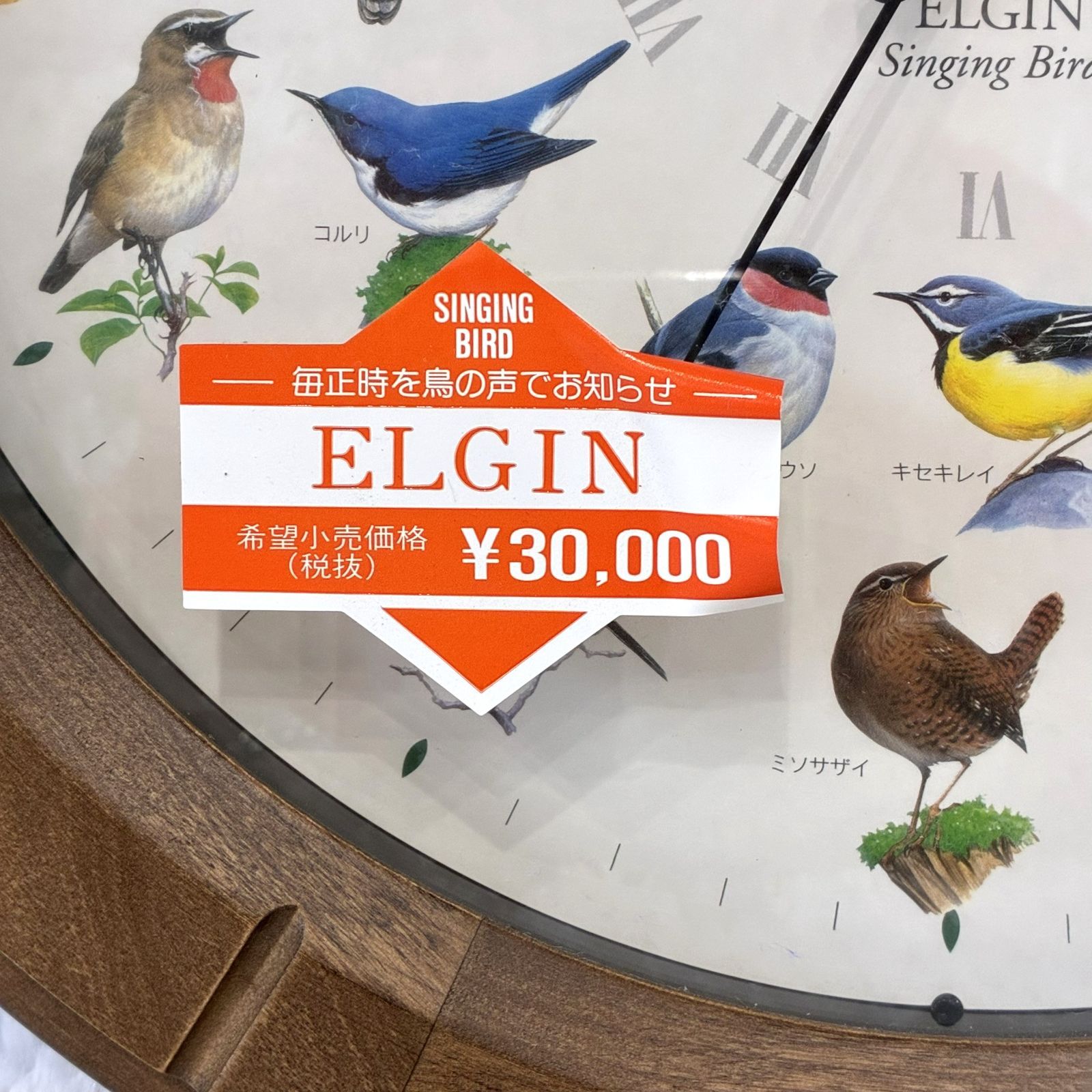 稀少】エルジン 電波時計 からくり時計 未使用品 シンギングバード