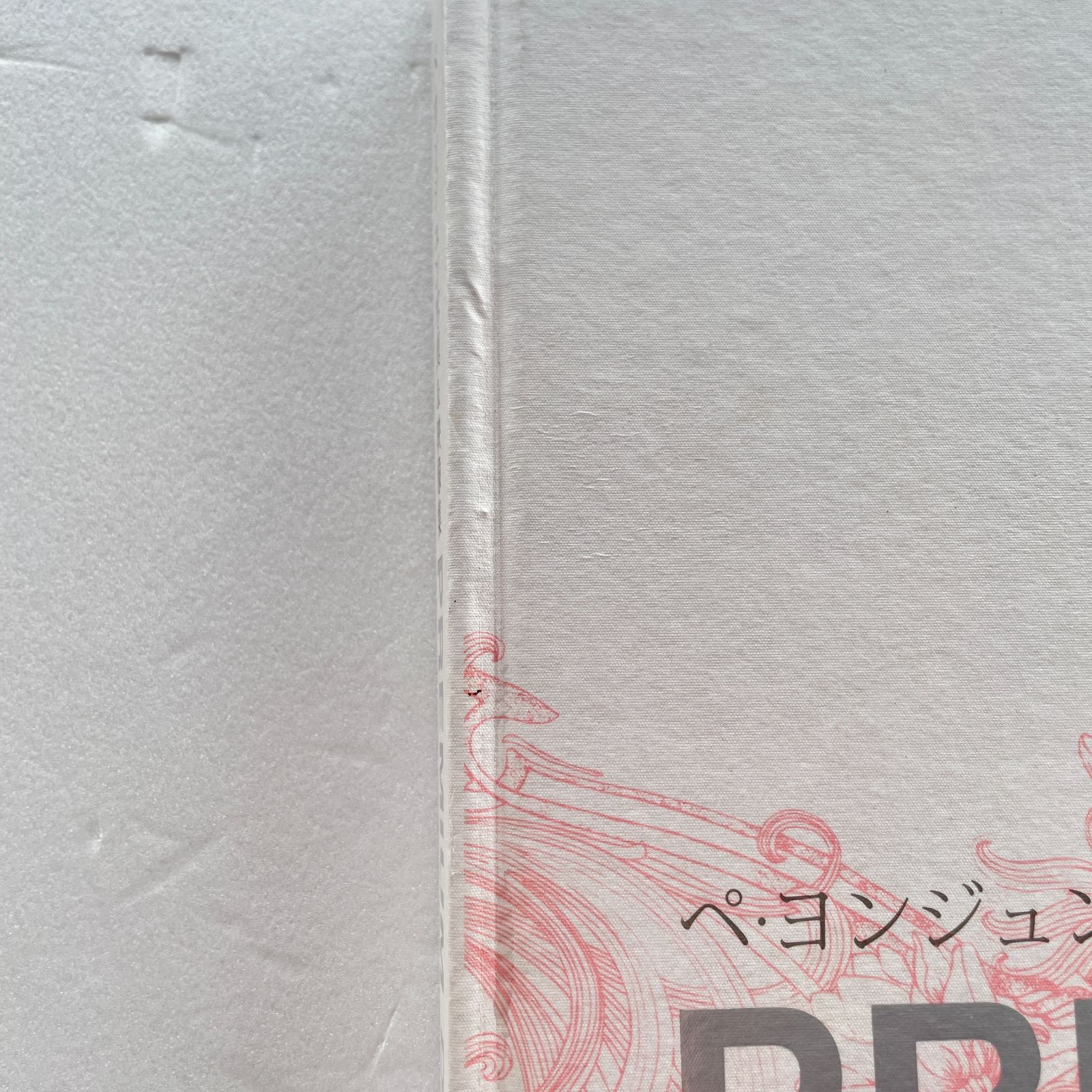 ペ・ヨンジュン 写真&映像集 PREMIUM DAYS 思い出の14日間 写真集 BOF
