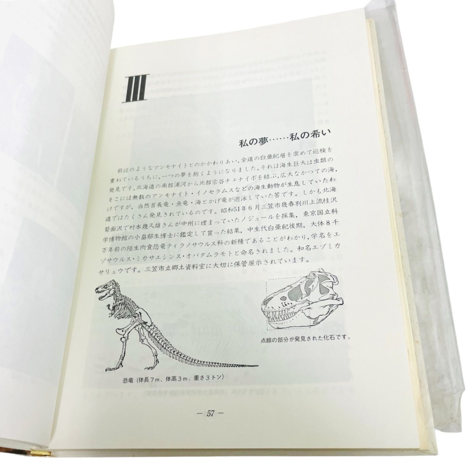 わたくしとアンモナイト 二本木 光利 二本木コレクションについて