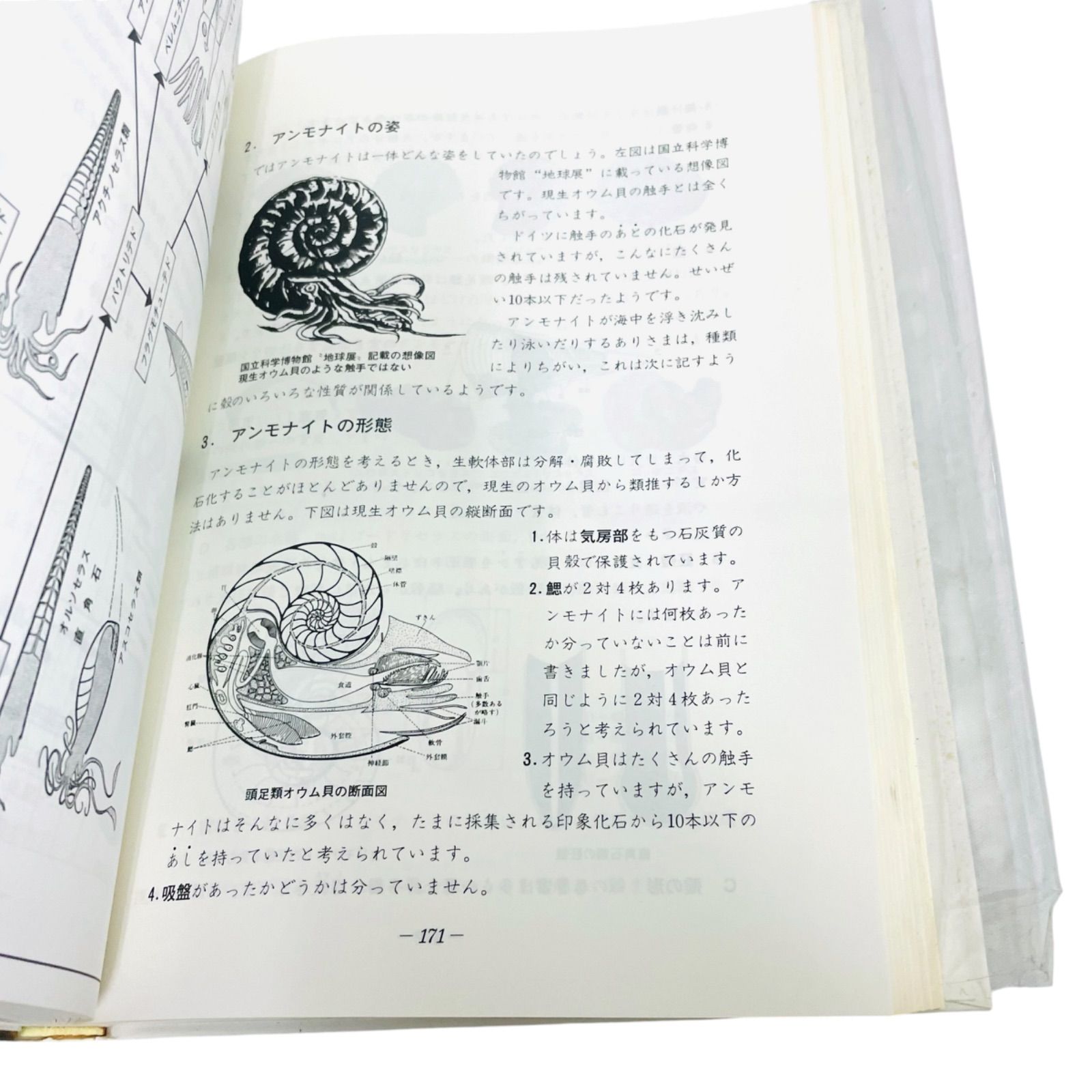 F06202 書籍 わたくしとアンモナイト 北海道巡検の手引 / 道内化石展示