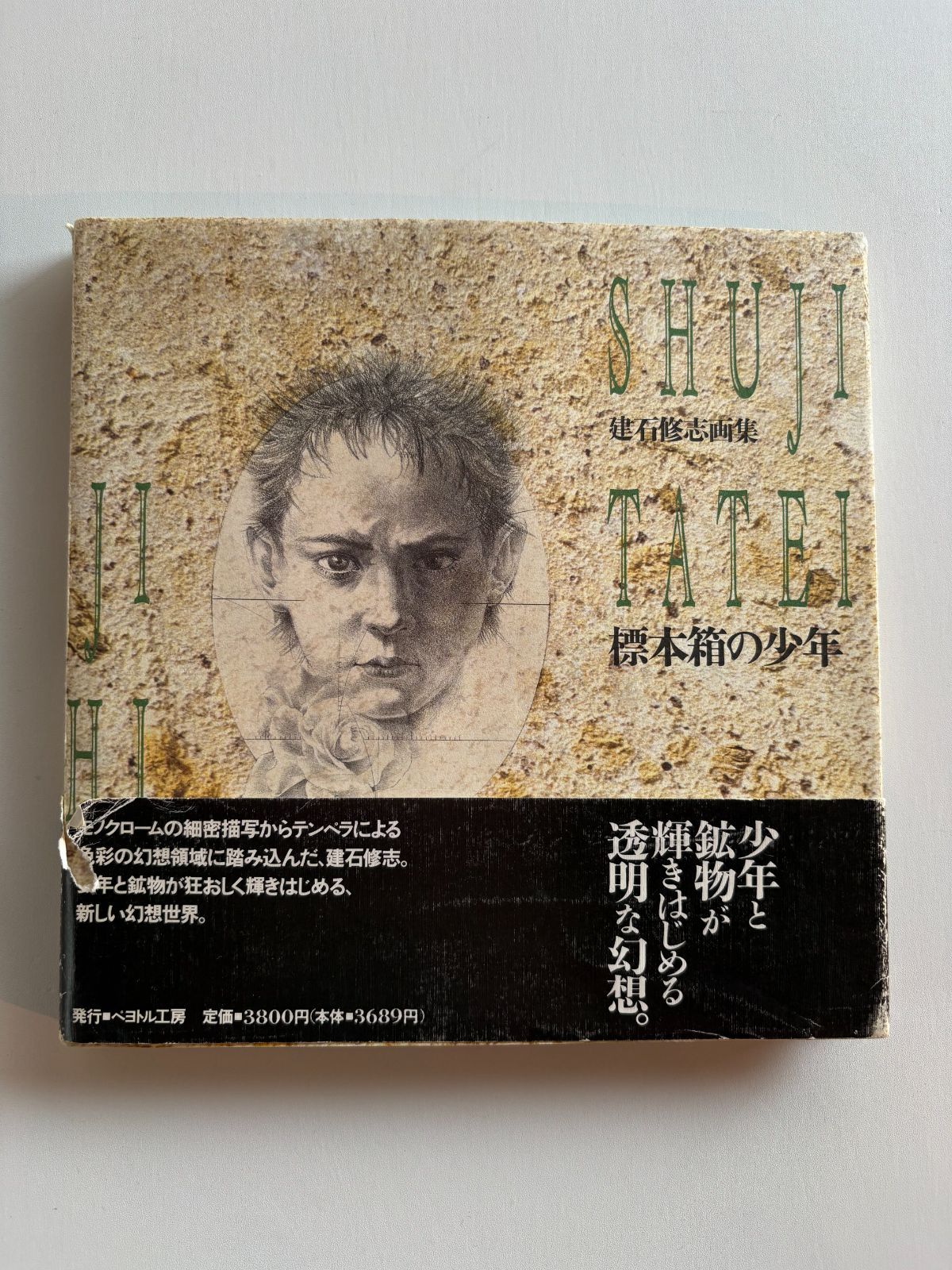 標本箱の少年 | 著) BASE 古本、中古本、古 建石修志画集 ⁄ 建石
