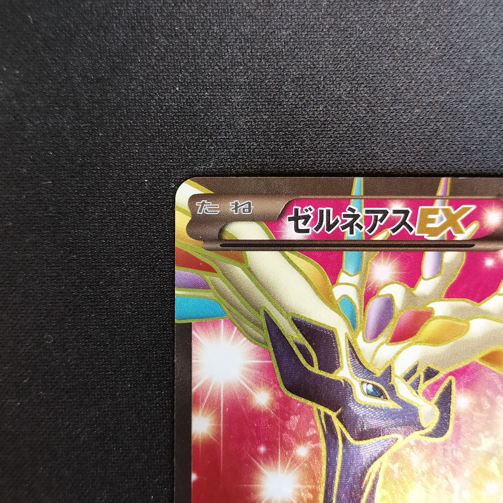 ゼルネアスEX 012/023 xyc スーパーレジェンドセット psa10 , 【公式通販】