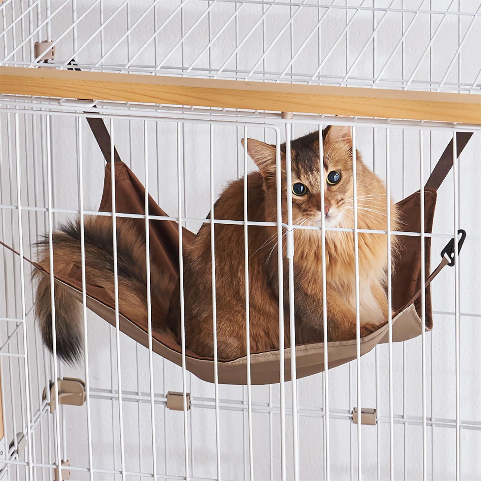ボンビアルコン (Bonbi) ウッドワンサークルキャット ワイドドア2段 