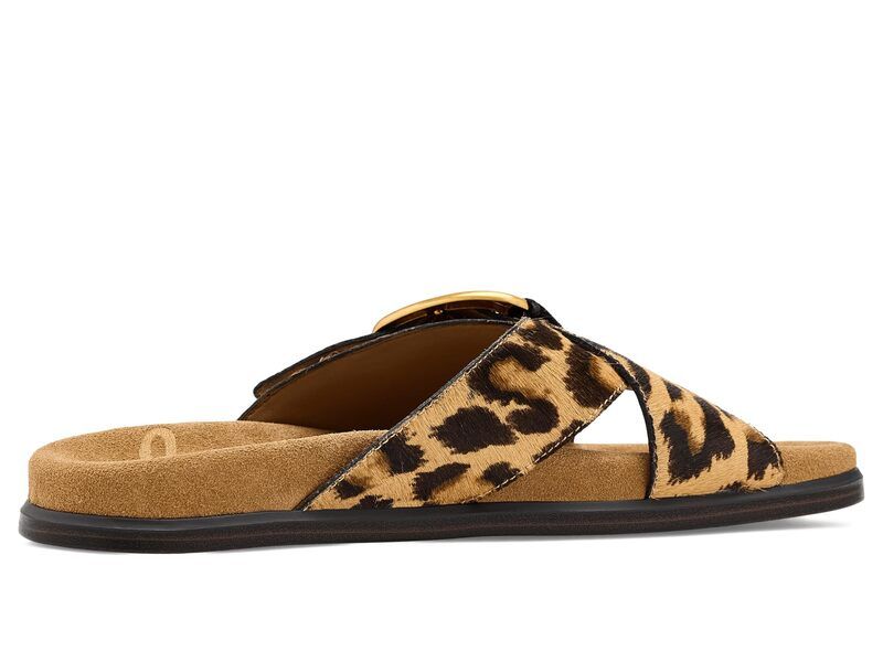 サムエデルマン レディース シューズ スニーカー Sam Edelman Darla Cyprus Tan Mult タン