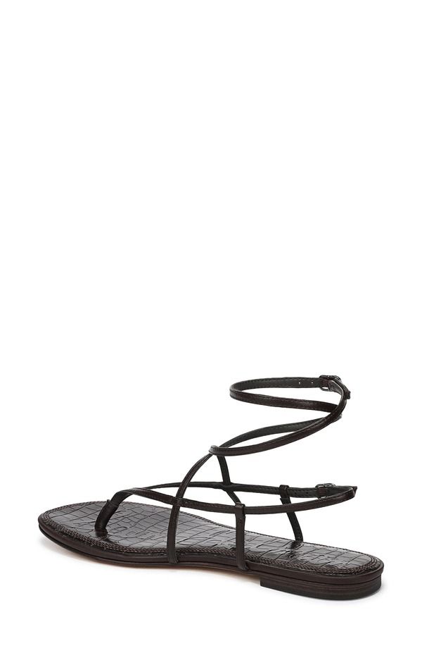サムエデルマン レディース シューズ サンダル Sam Edelman Clarra Strappy Sandal Cafe Noir サムエデルマン レディース シューズ サンダル Sam Edelman Clarra Strappy Sandal Cafe Noir