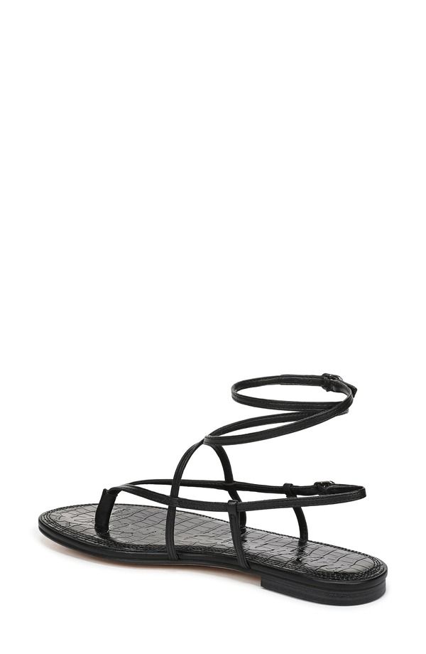 サムエデルマン レディース シューズ サンダル Sam Edelman Clarra Strappy Sandal Black ブラック サムエデルマン レディース シューズ サンダル Sam Edelman Clarra Strappy Sandal Black ブラック