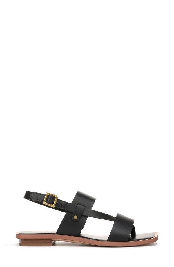 フランコサルト レディース シューズ サンダル Franco Sarto Enrica 2 Sandal Black ブラック