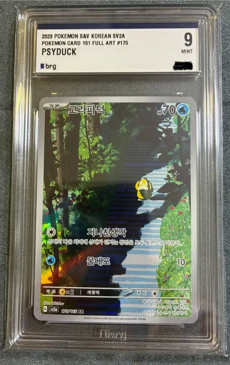 ポケットモンスターカードゲーム ゴーラパ덕 ar brg9
