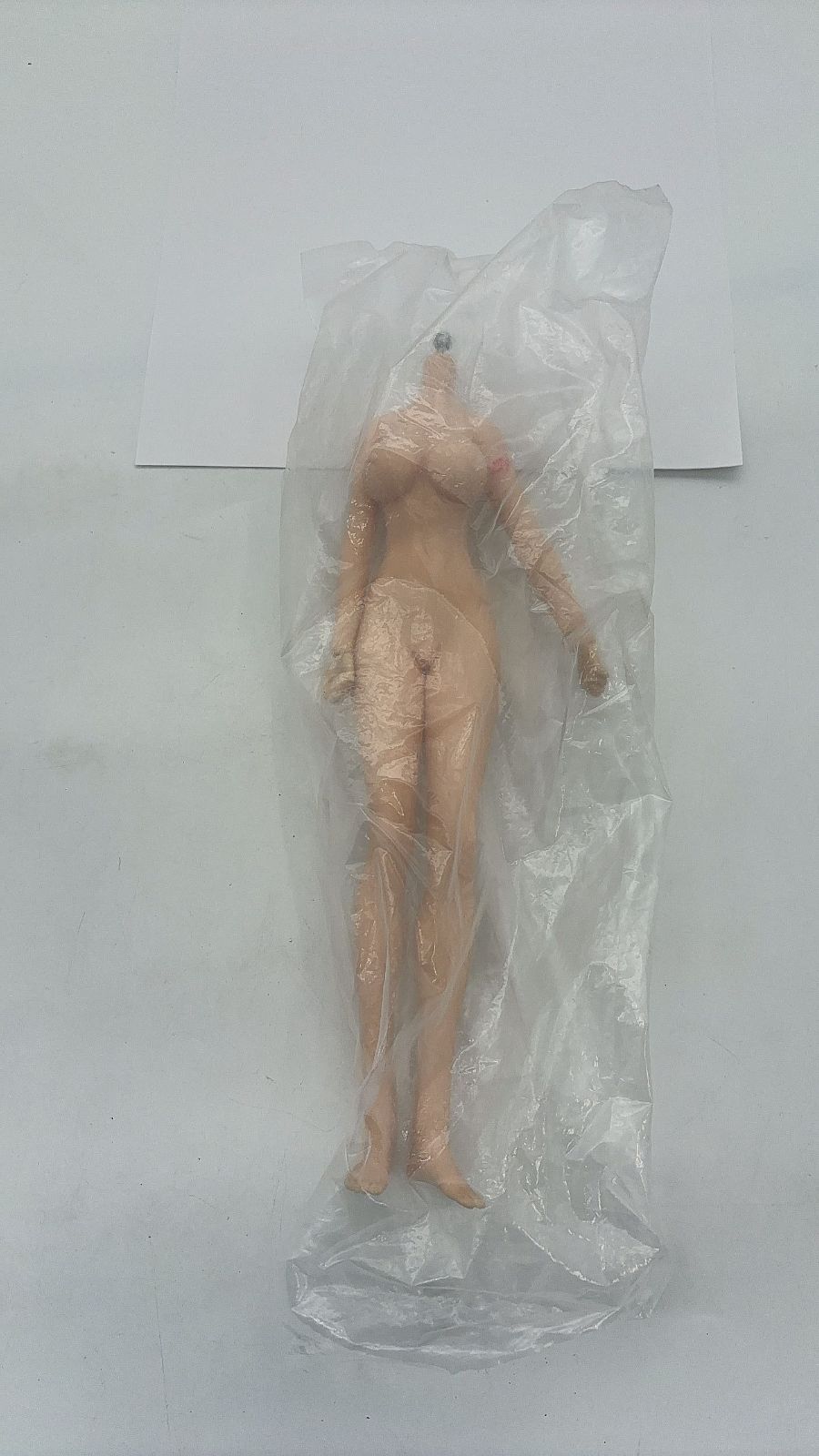 MR-03354 scale seamless body female 28 cm
