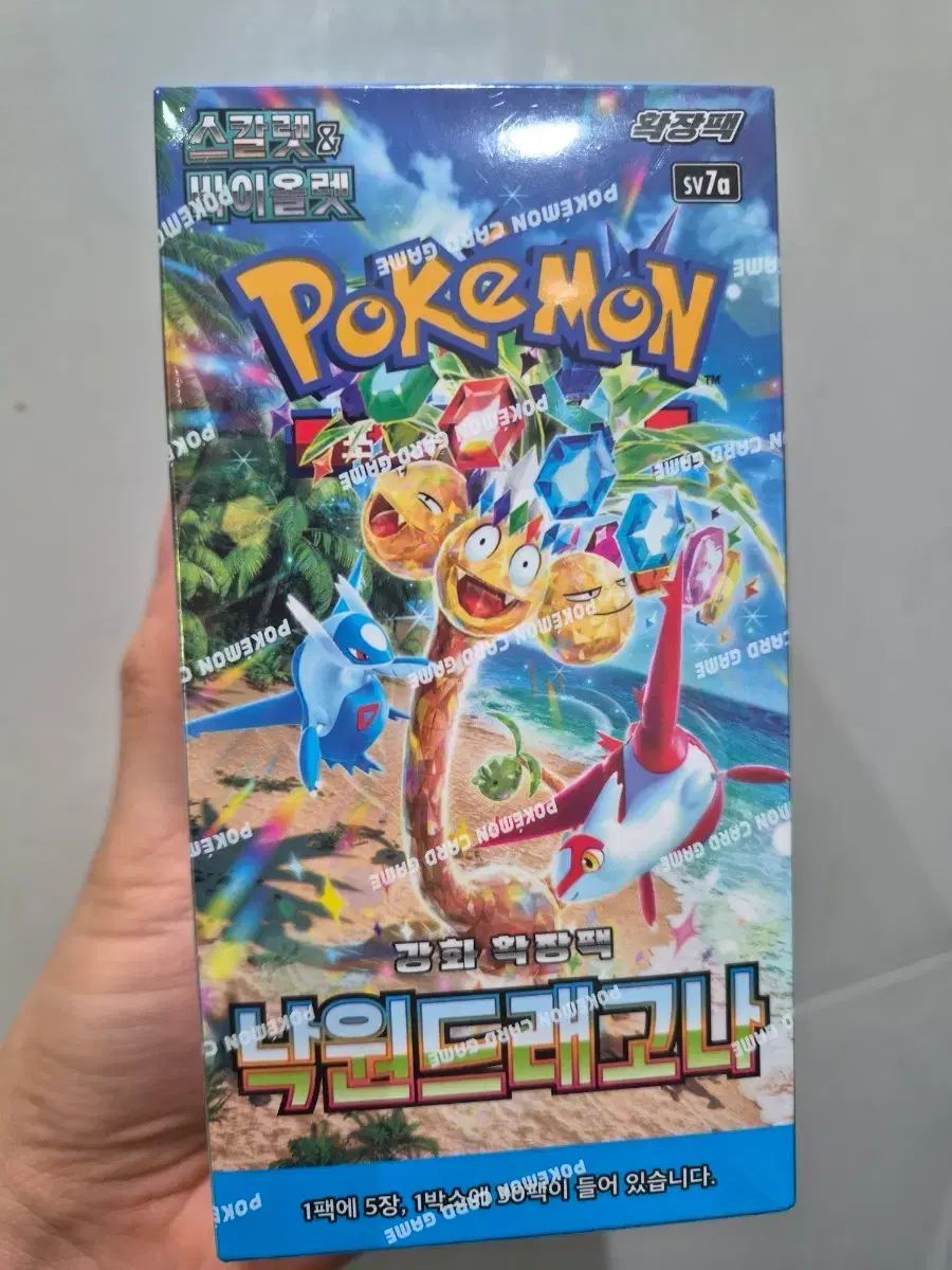 楽園ドラゴン 1ボックス シューリンクo