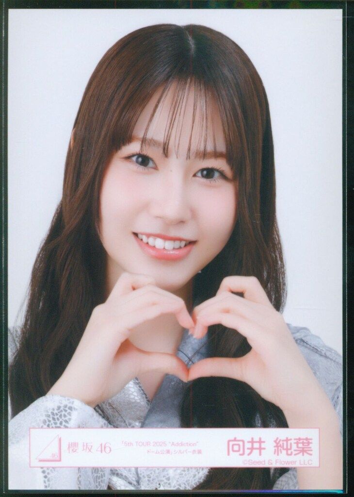櫻坂46 2026年2月生写真 向井純葉 「5th TOUR 2025 “Addiction”ドーム