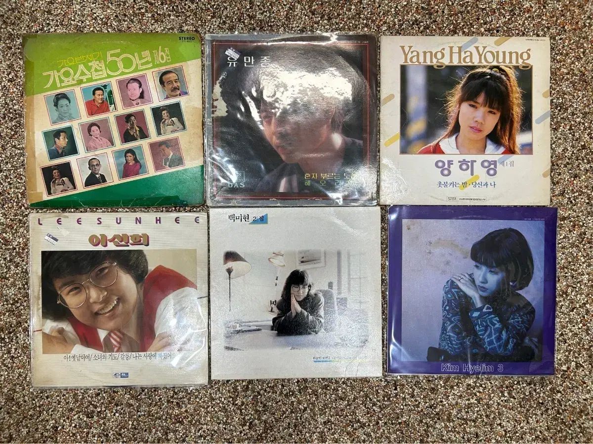 LP 行こう 50 腸 まとめ売り