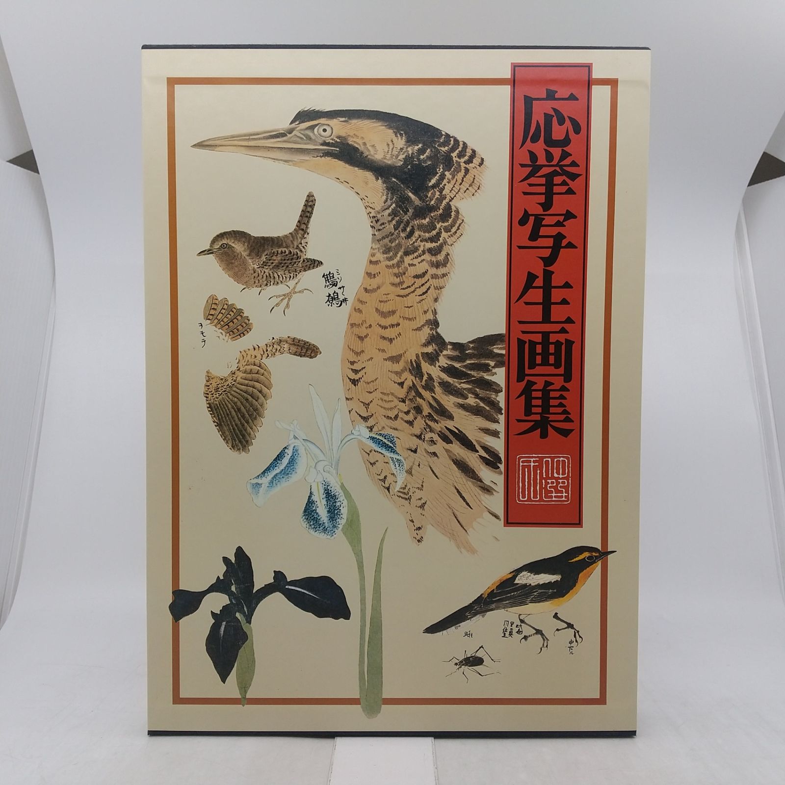 応挙写生画集 講談社 1981年(昭和56年)発行 2606LXth15 - メルカリ 応挙写生画集