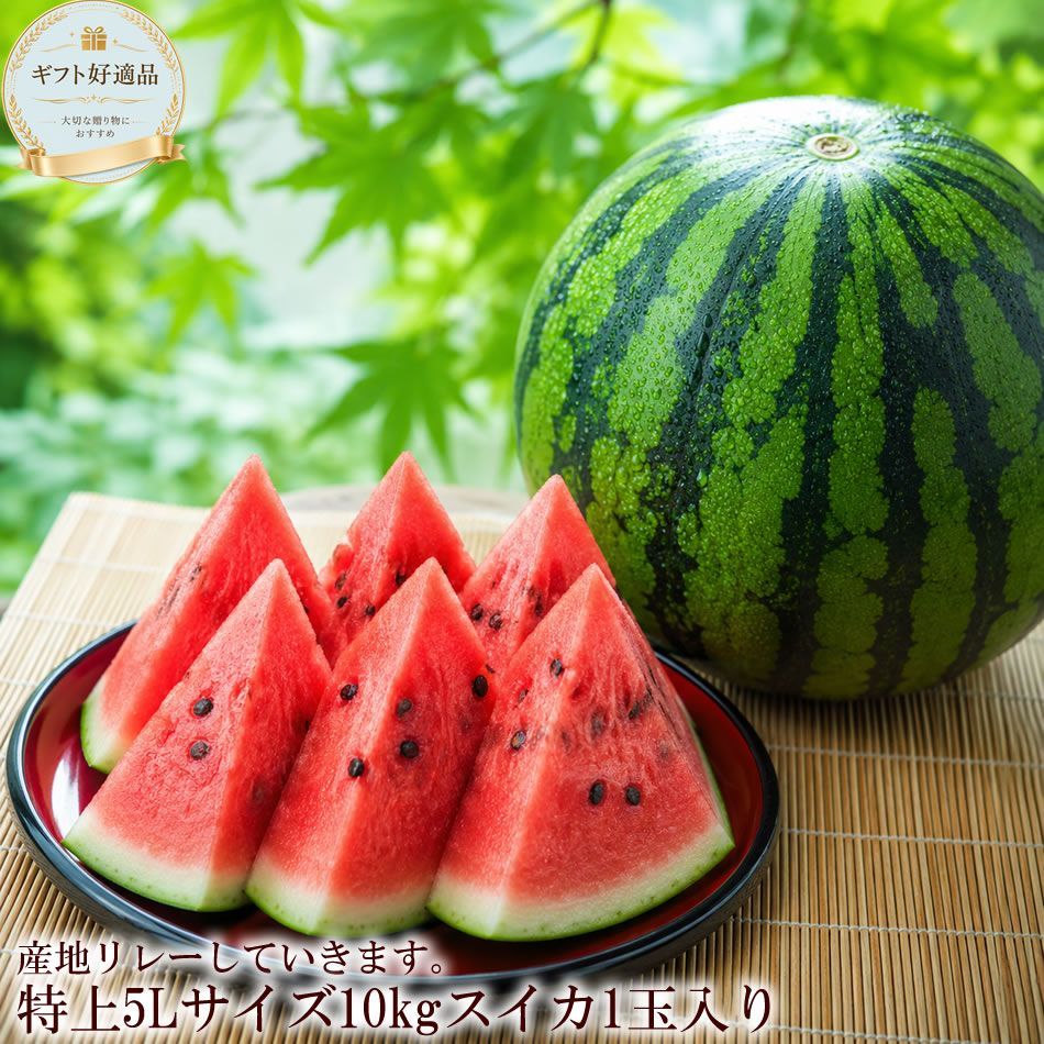 産地厳選 5Lサイズ 特大スイカ 約10kg以上 夏のご褒美 大玉西瓜 [スイカ5Ｌ1玉]