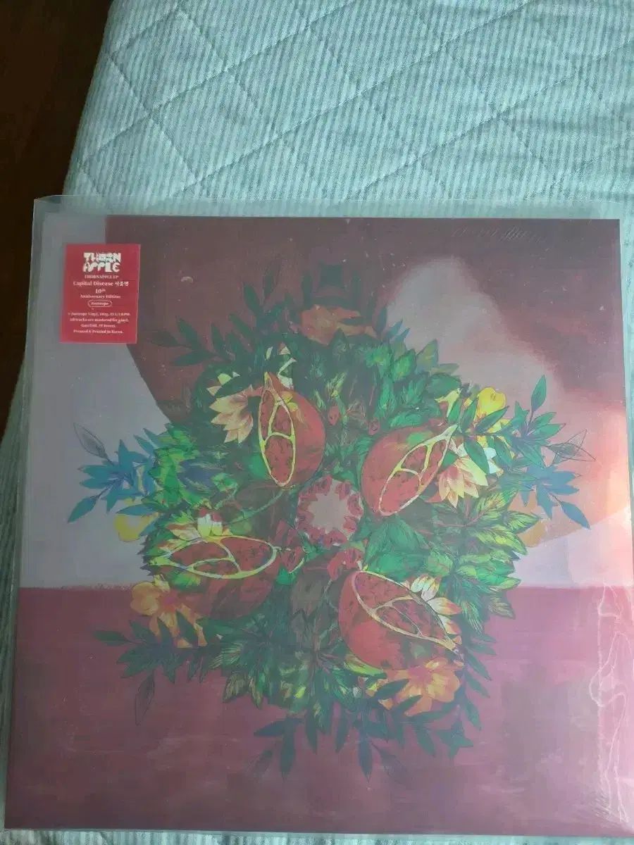 限定盤❗サンプル盤❗エリカ・モリーニの芸術