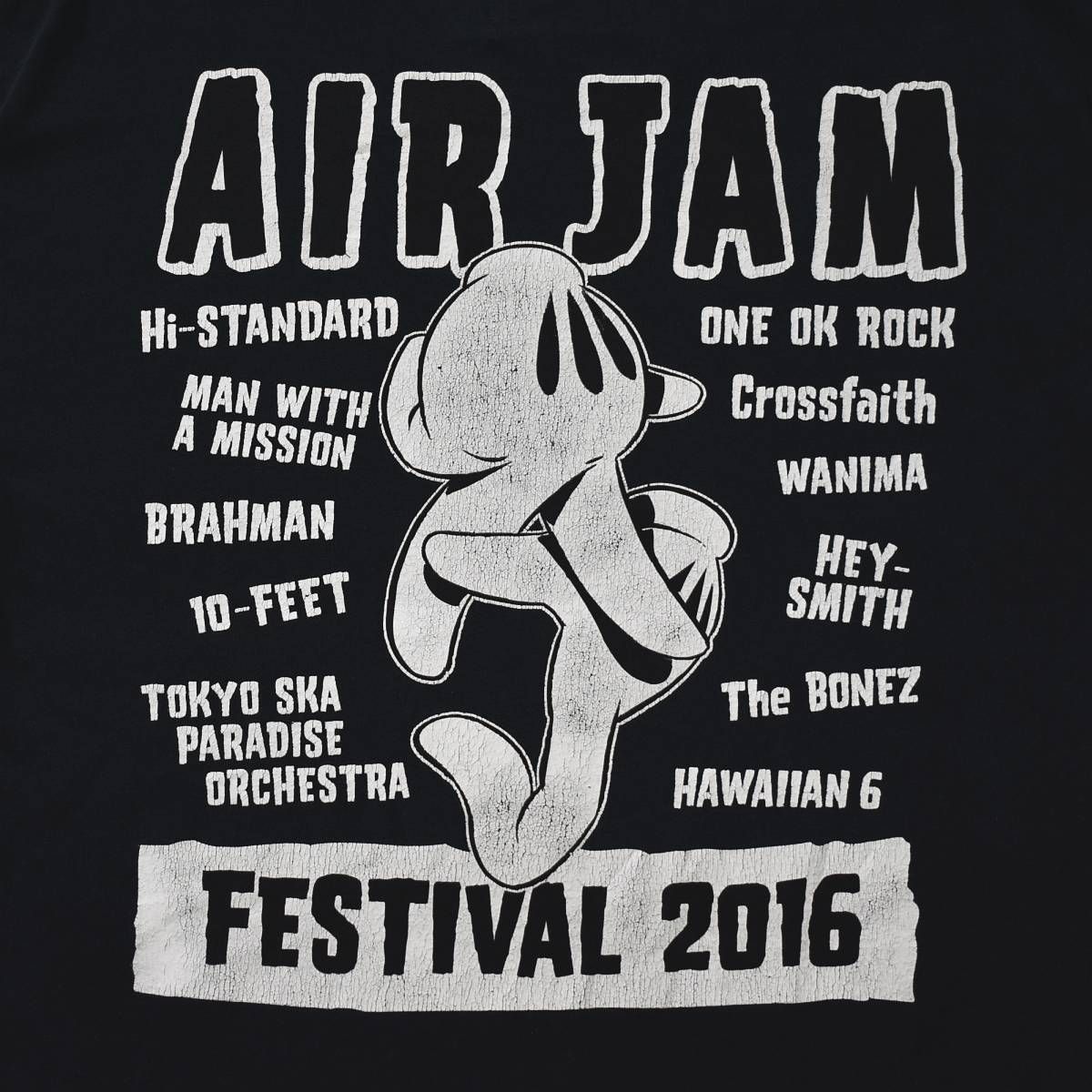 エアジャム AIRJAM 2016 アーティスト ラインナップ フェス デザイン