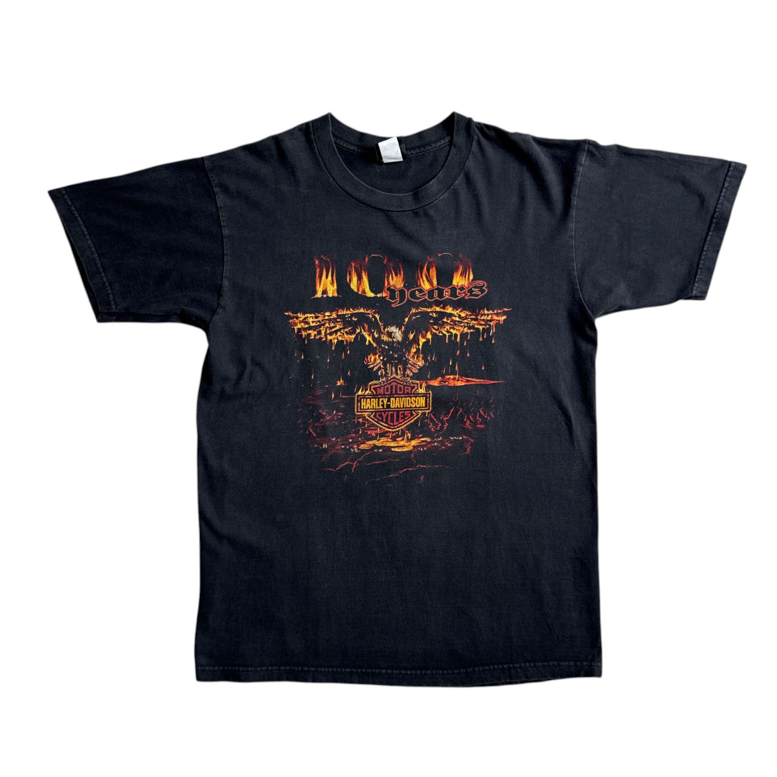 90s-00s Harley-Davidson Flame Eagle 