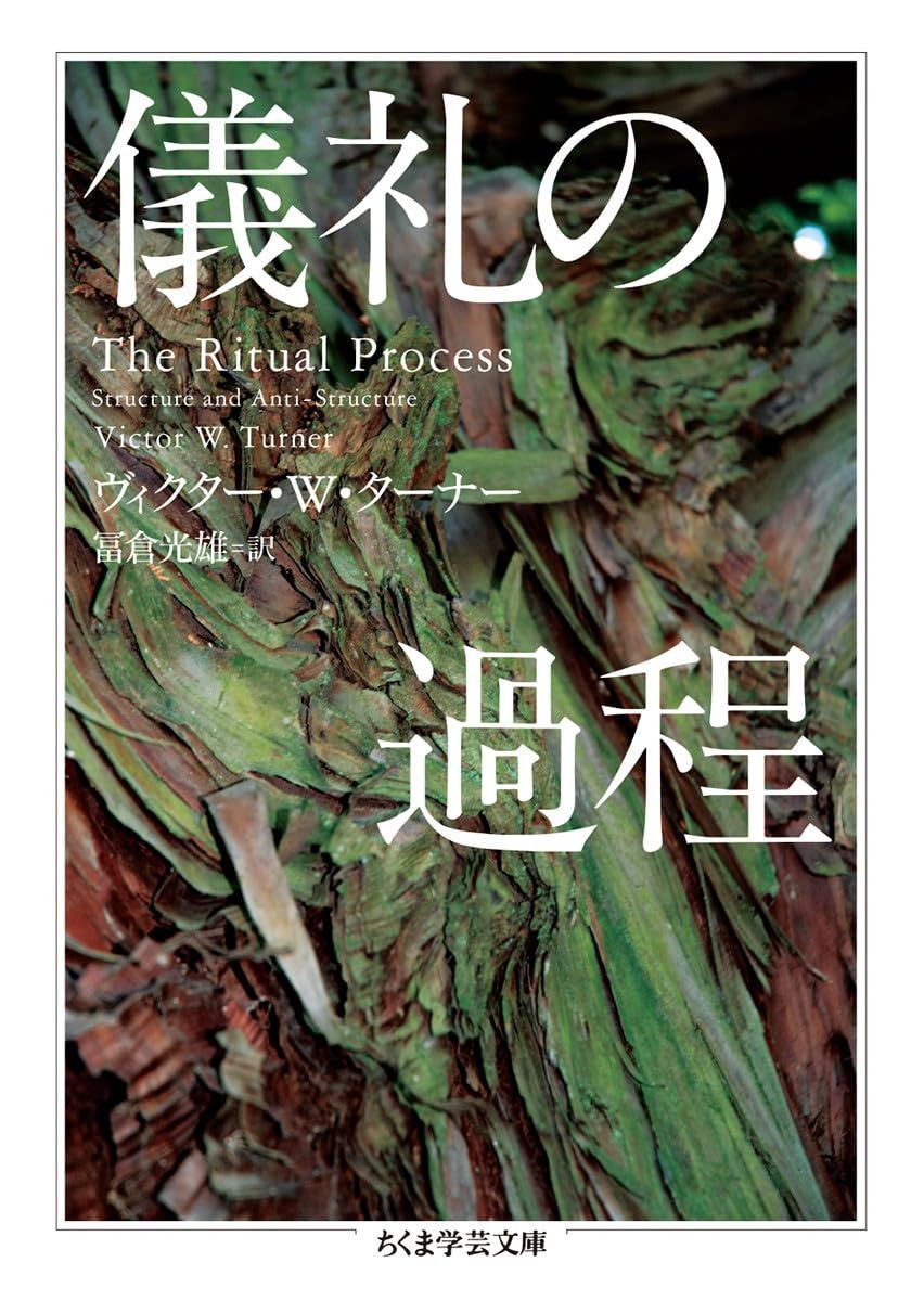 儀礼の過程 (ちくま学芸文庫)