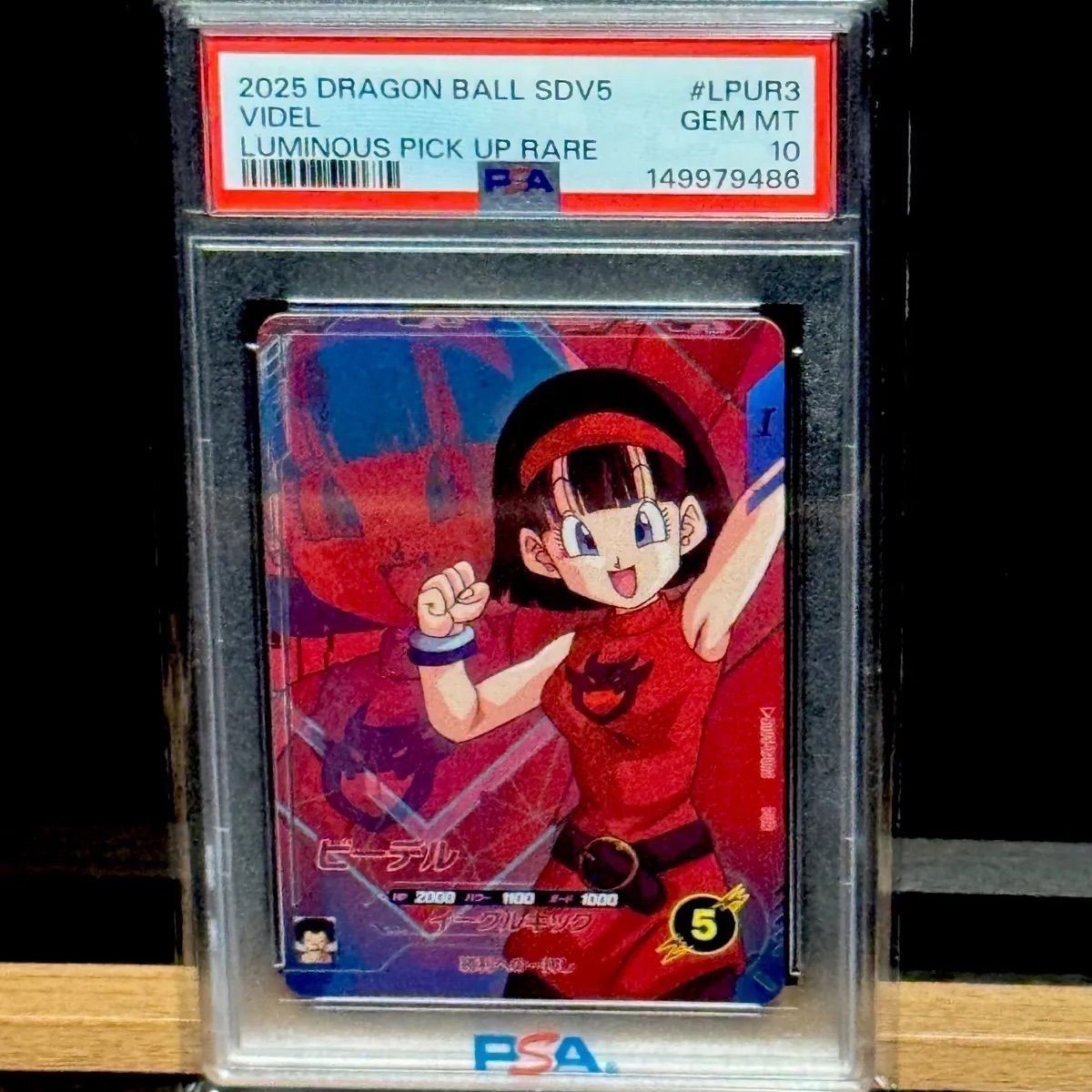 ビーデル PSA10