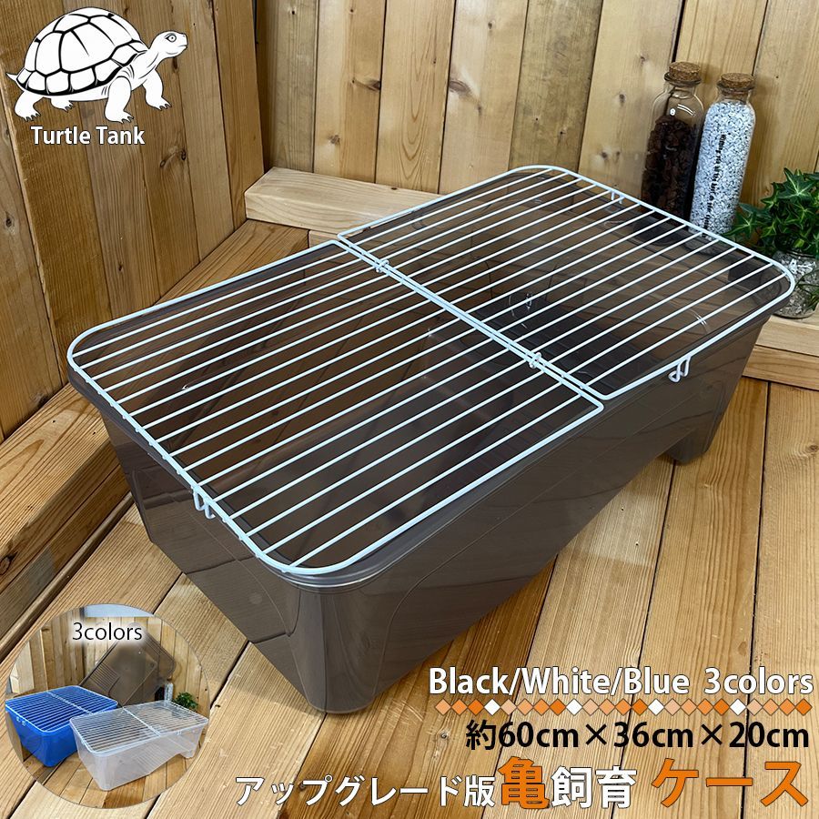 カメ専用飼育ケース　5個セット　中サイズ アップグレード版 亀飼育ケース (中) タートルタブ 排水口付き