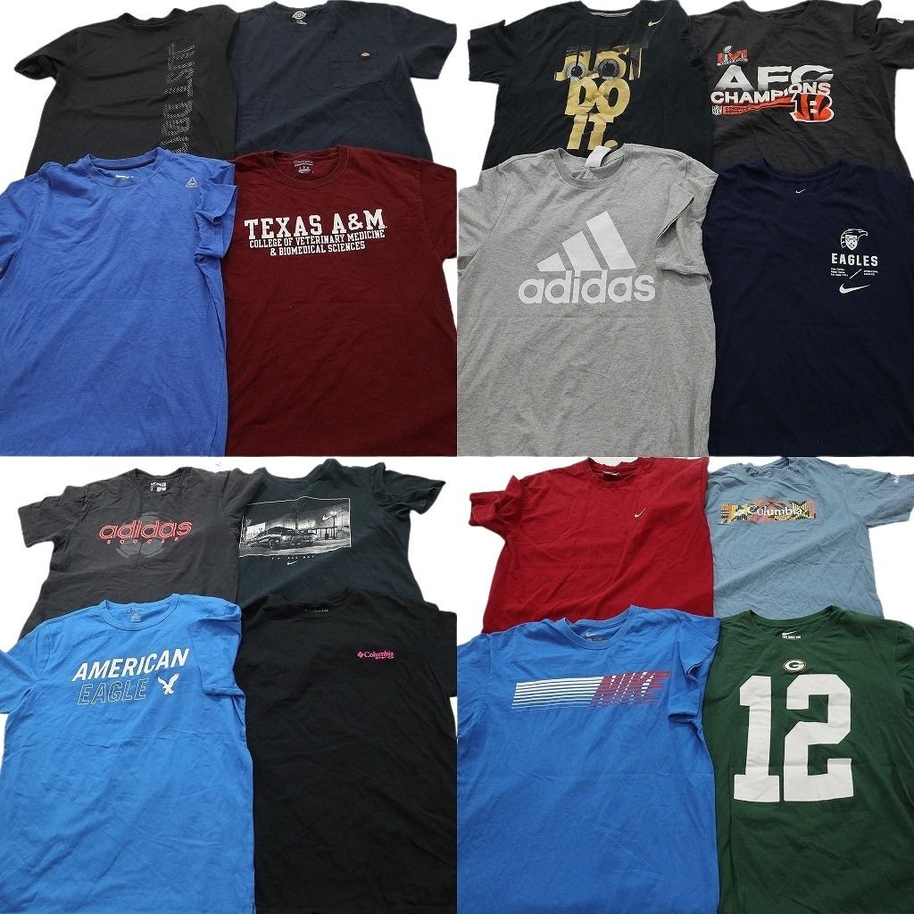 古着卸 まとめ売り ブランドMIX Tシャツ 16枚セット ( メンズ L ) ディッキーズ リーボック チャンピオン ナイキ 中古 古着 NF2999