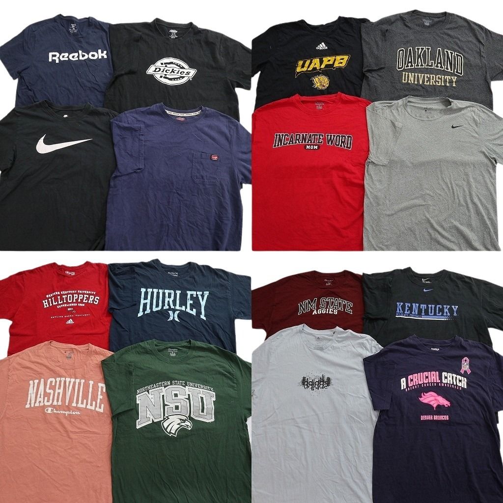 古着卸 まとめ売り ブランドMIX Tシャツ 16枚セット ( メンズ XL ) ディッキーズ ラングラー チャンピオン ナイキ 中古 古着 NF3050