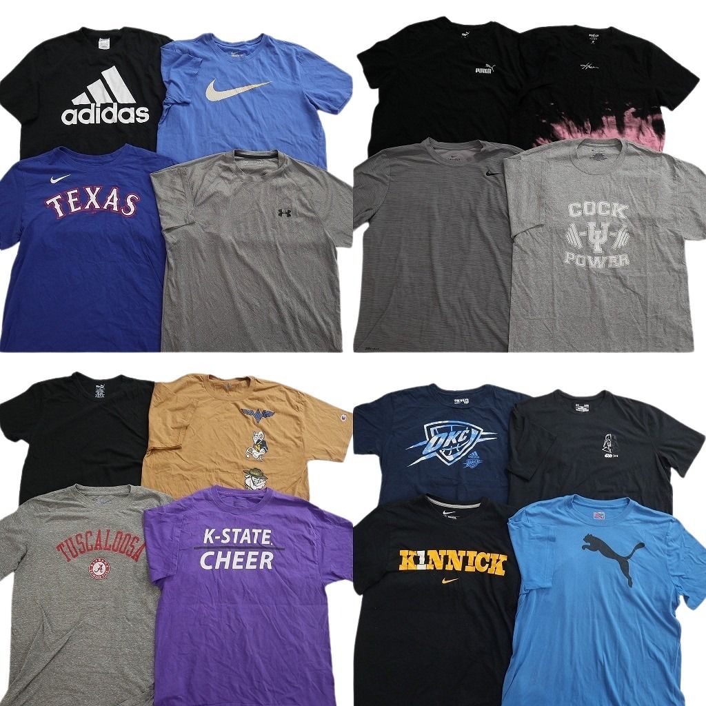 古着卸 まとめ売り ブランドMIX Tシャツ 16枚セット ( メンズ L ) チャンピオン ナイキ プーマ ホリスター 中古 古着 NF3055