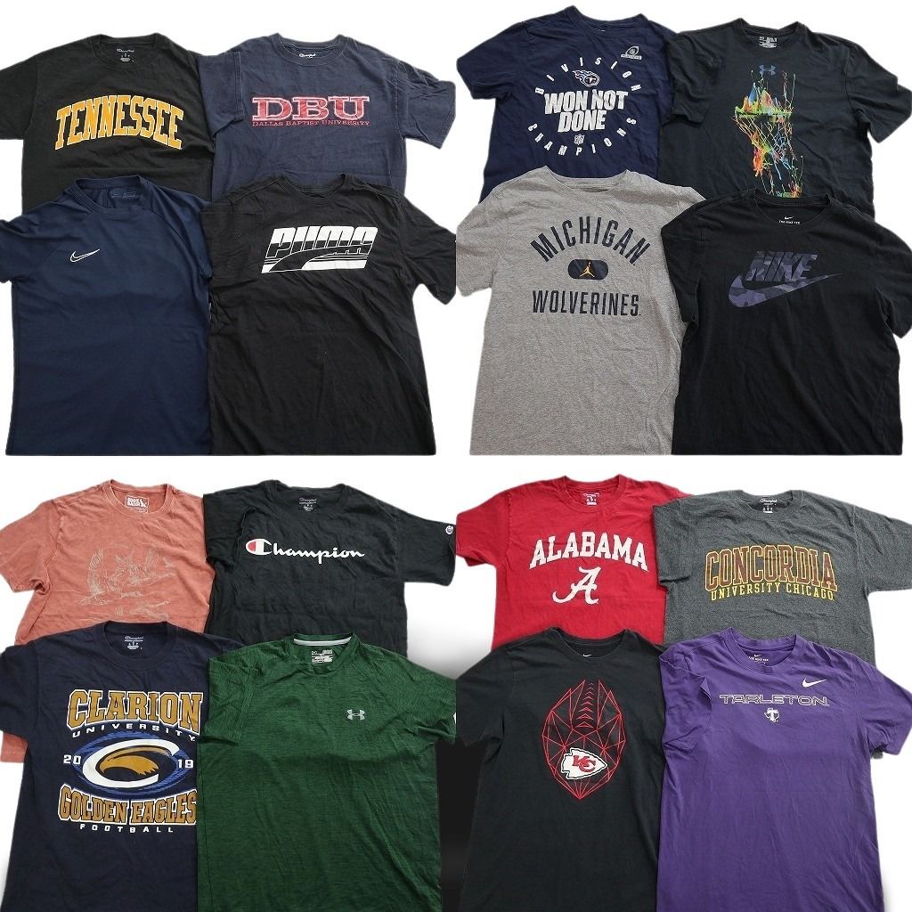 古着卸 まとめ売り ブランドMIX Tシャツ 16枚セット ( メンズ M ) エディーバウアー チャンピオン ナイキ 中古 古着 NF3058