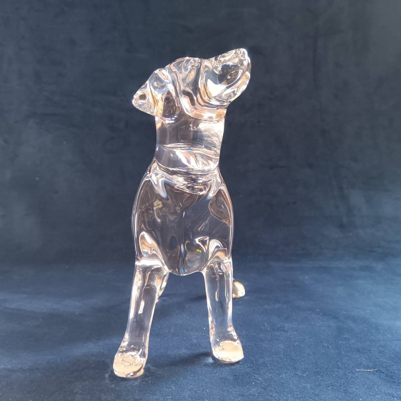 Baccarat バカラ ラブラドールレトリバー 犬 置物 美品 バカラ Baccarat ラブラドールレトリバー（犬） オブジェ 260516-188