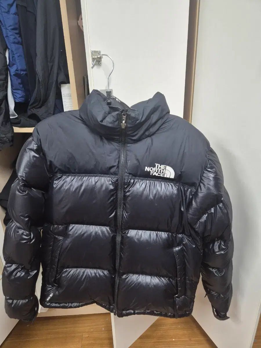 THE NORTH FACE ザノースフェイス 1996 エコ ヌプシ ジャケット リー 