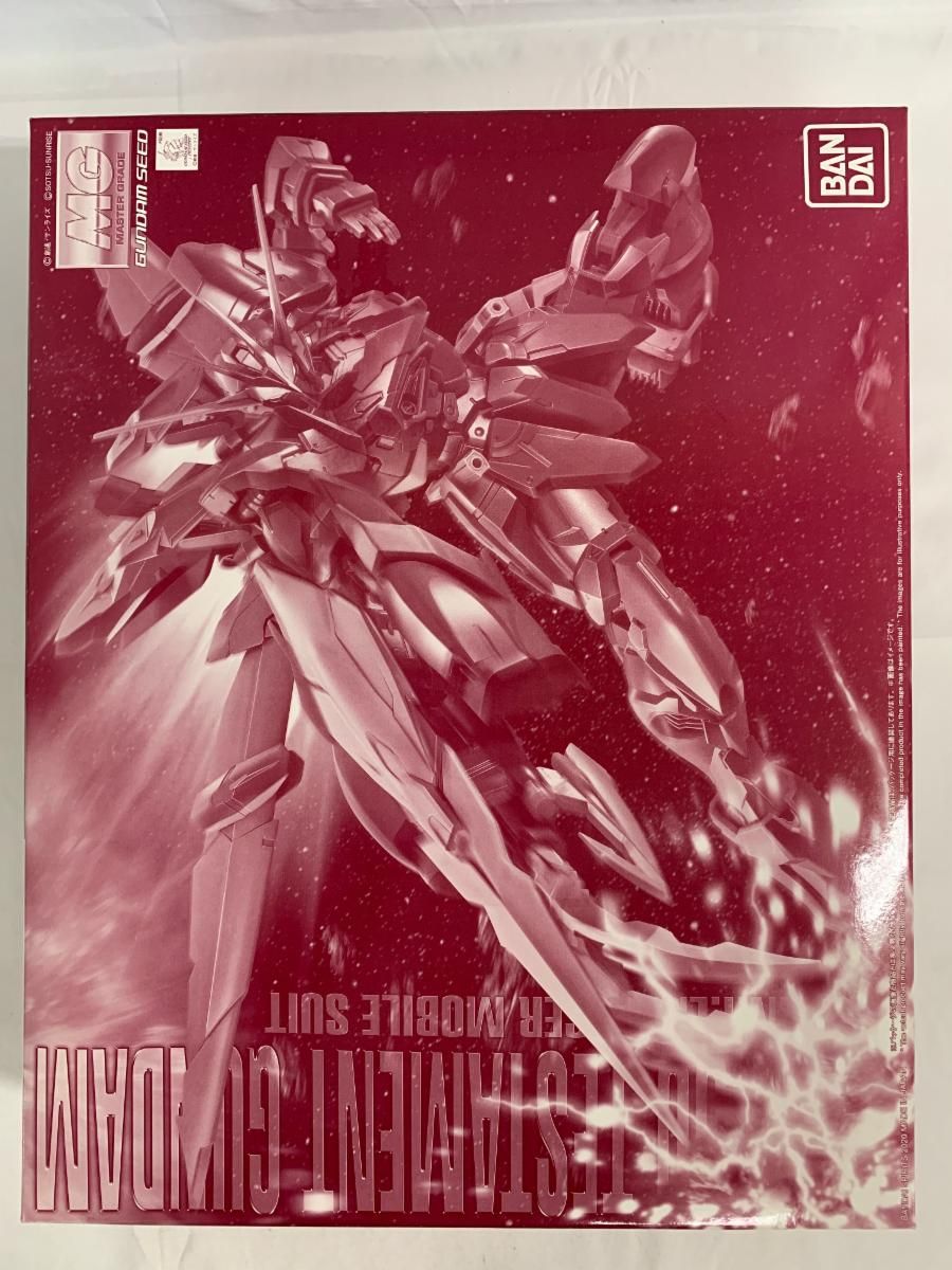 【未開封】1/100 MG ZGMF-X12A/RGX-00 テスタメントガンダム 「機動戦士ガンダムSEED DESTINY ASTRAY