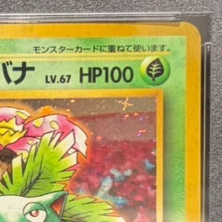 フシギバナ_「とりかえっこプリーズ」 キャンペーンカード PROMO 第1世代… PSA10】 フシギバナ 《「とりかえっこプリーズ」キャンペーンカード