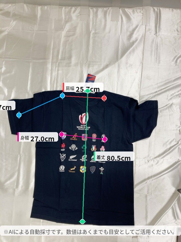 RUGBY WORLD CUP ラグビーワールドカップ Tシャツ ネイビー Wilson風