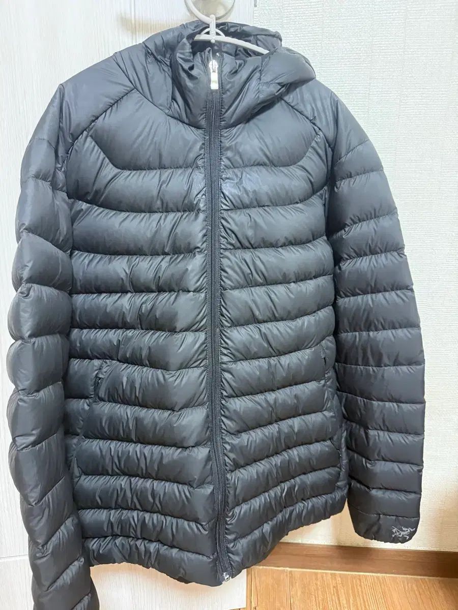 ARC'TERYX Cerium フーディ ウィメンズ
