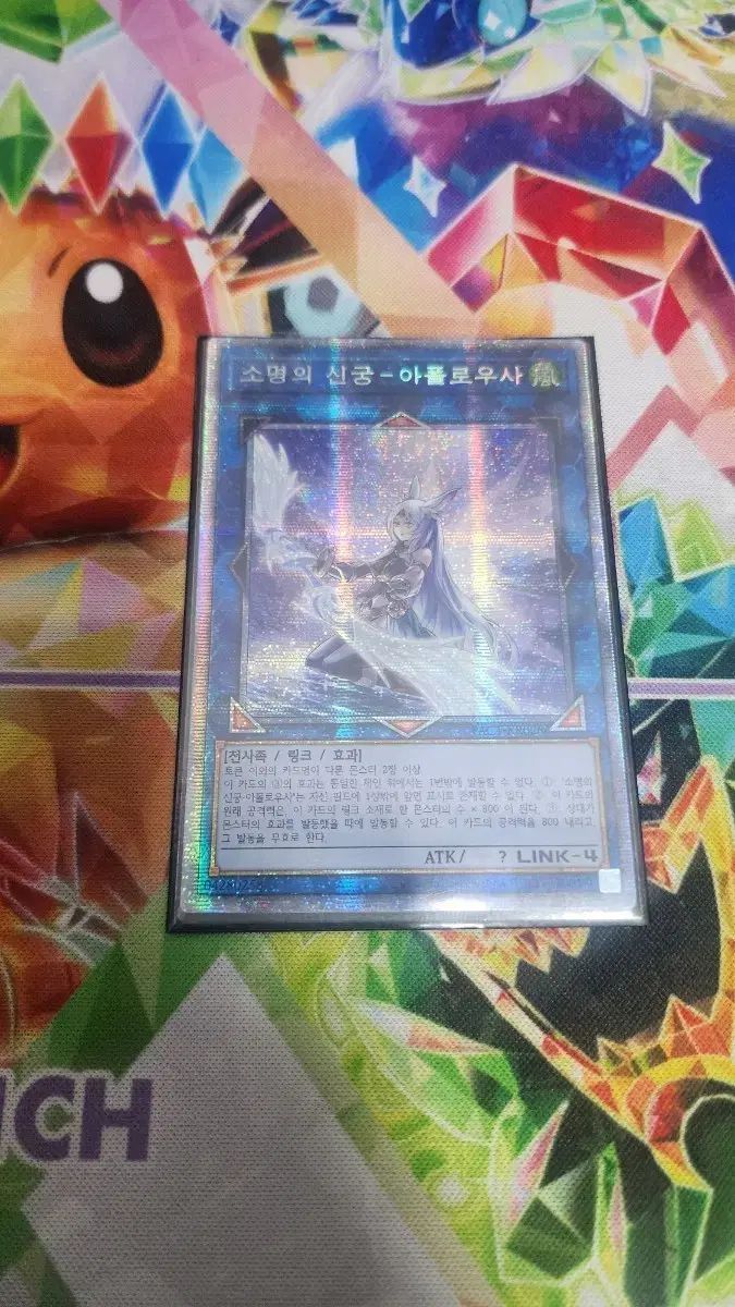 遊☆戯☆王 アポロうさ PR 스싴