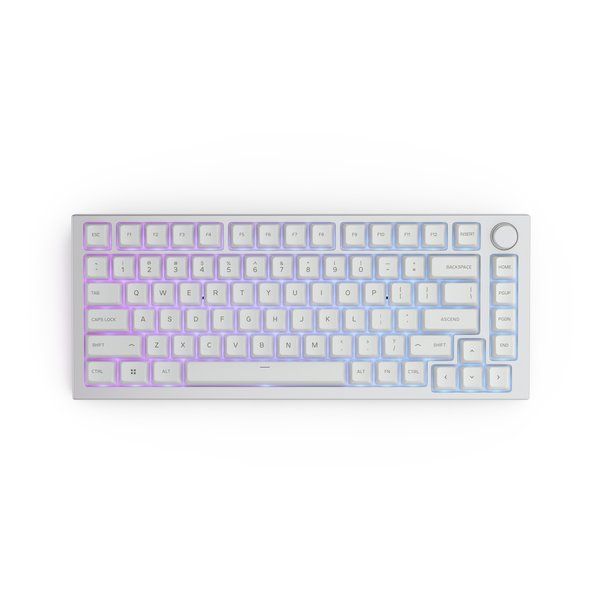 Glorious PC Gaming Race グロリアス ピーシー ゲーミング レース Glorious GMMK PRO 75% Barebone ANSI USA 自作キーボード ホワイト GLO-GMMK-P75-RGB-W (2588638) Glorious PC Gaming Race グロリアス ピーシー ゲーミング レース Glorious GMMK PRO 75% Barebone ANSI USA 自作キーボード ホワイト GLO-GMMK-P75-RGB-W (2588638)