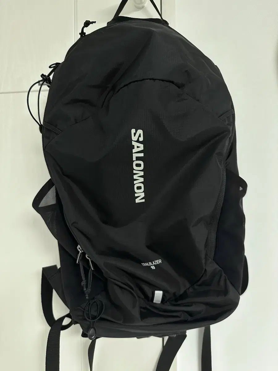 SALOMON サロモン トレイル ブレーザー 10L バックパック ブラック SALOMON サロモン バックパック オシオン