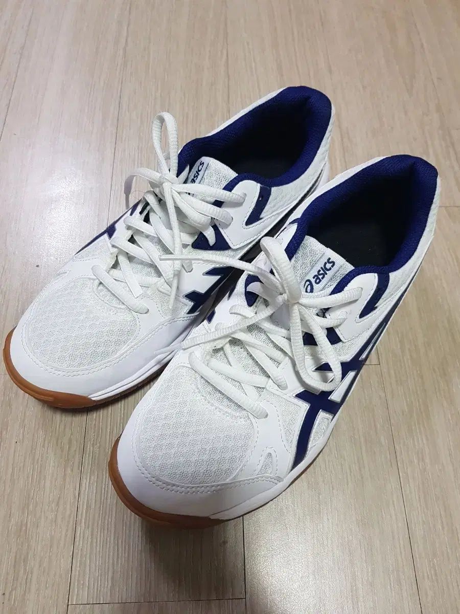 アシックス リーBRECF (240size)