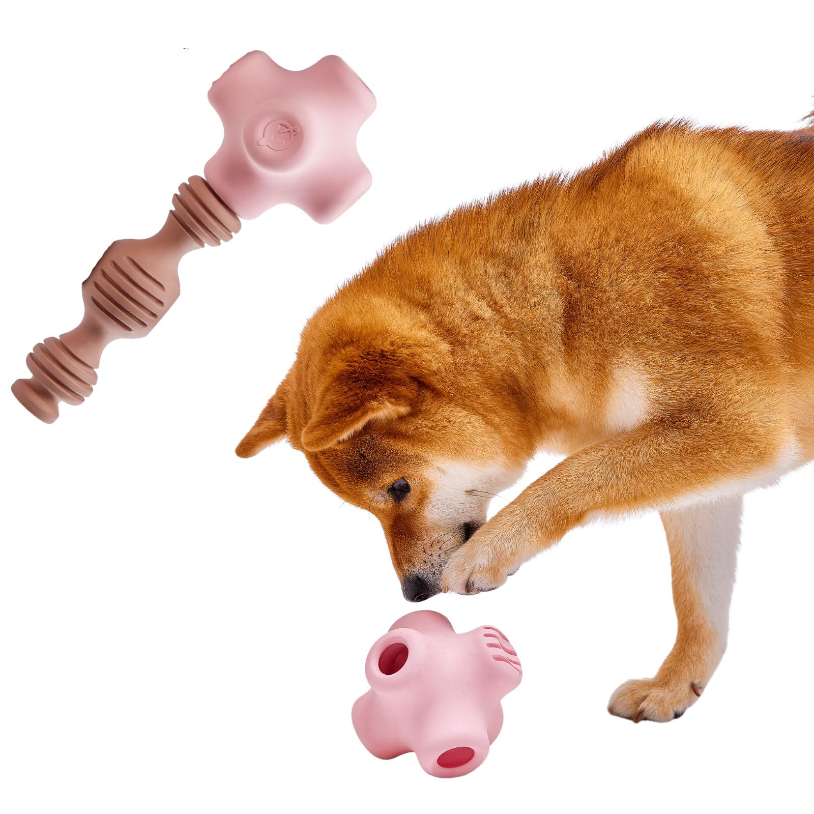 CaniPlay 犬用噛むおもちゃ 天然ゴム製 無添加 安全無毒 BPAフリー 犬 デンタルケア 20通りの組み合わせ 耐久性 獣医師&犬訓練士監修