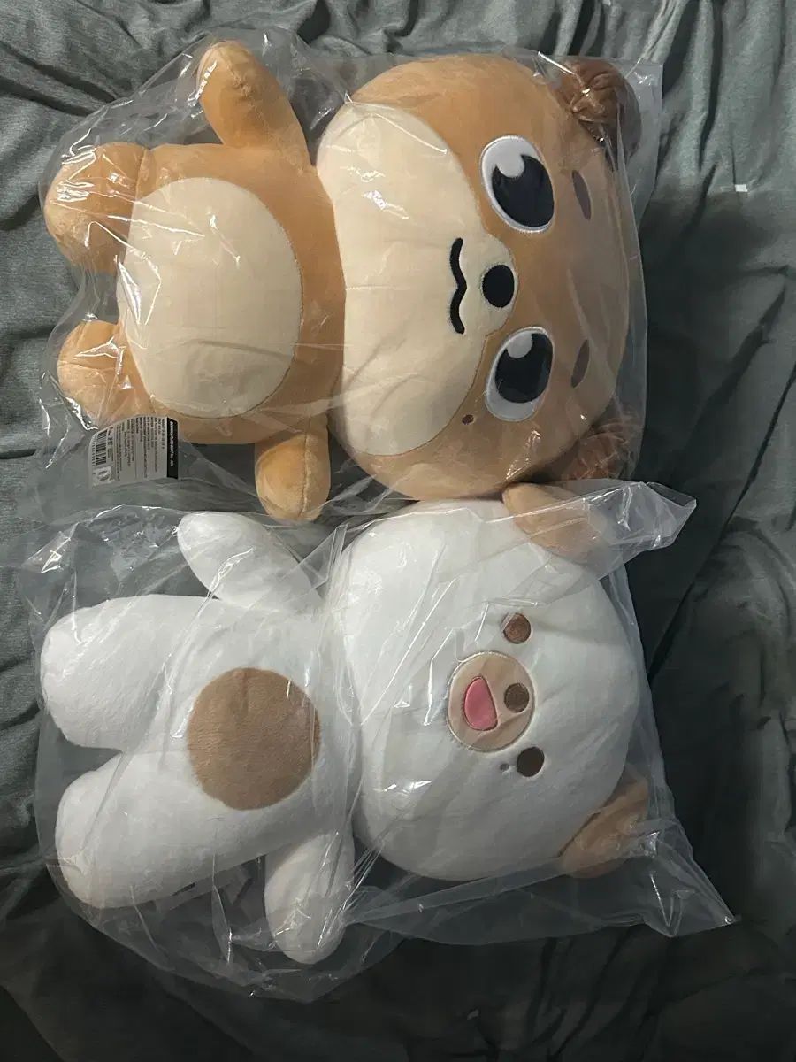 ジャイアント プンマル プン 出品します(トレカo)