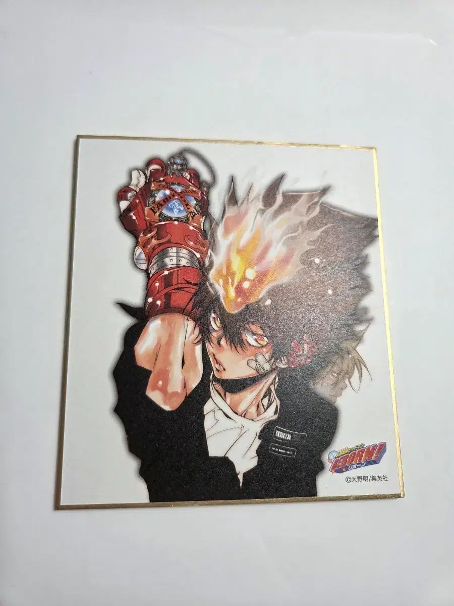 家庭教師ヒットマンREBORN! ビジュアル色紙 出品