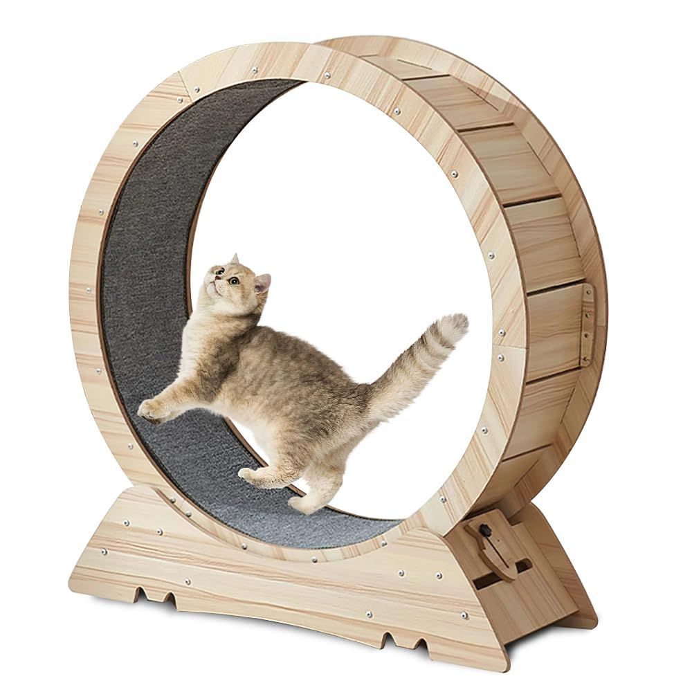 キャットホイール 猫 猫用回し車 猫の車輪 猫用トレッドミル 猫用ランニングホイール 木製 直径100cm 自走式 組み立て式 日本語説明書付き 低騒音 安定 運動不足解消 ストレス解消 一人遊び ダイエット (普通タイプ)