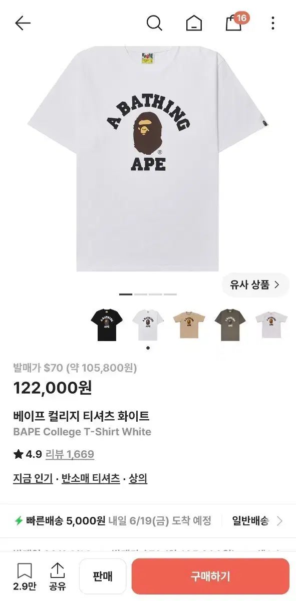 アベイシングエイプ カレッジ Tシャツ 白 出品 xxl