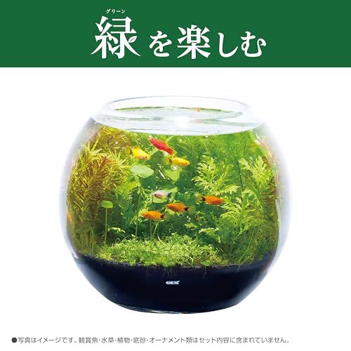 ジェックス グラスアクア ビッグスフィア アクアリウム水槽 約Φ30×25.5