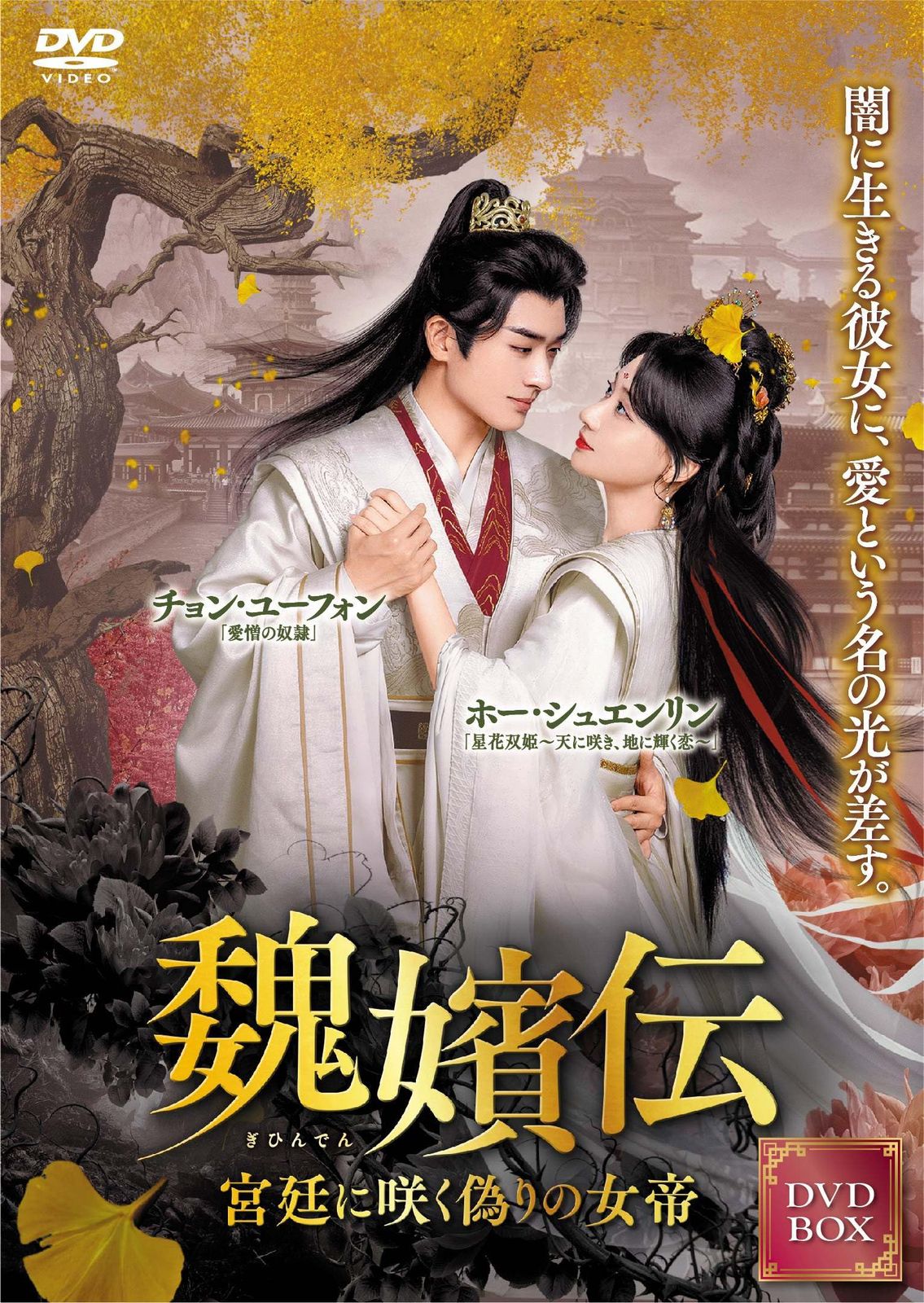 魏嬪伝 4枚組DVD-BOX