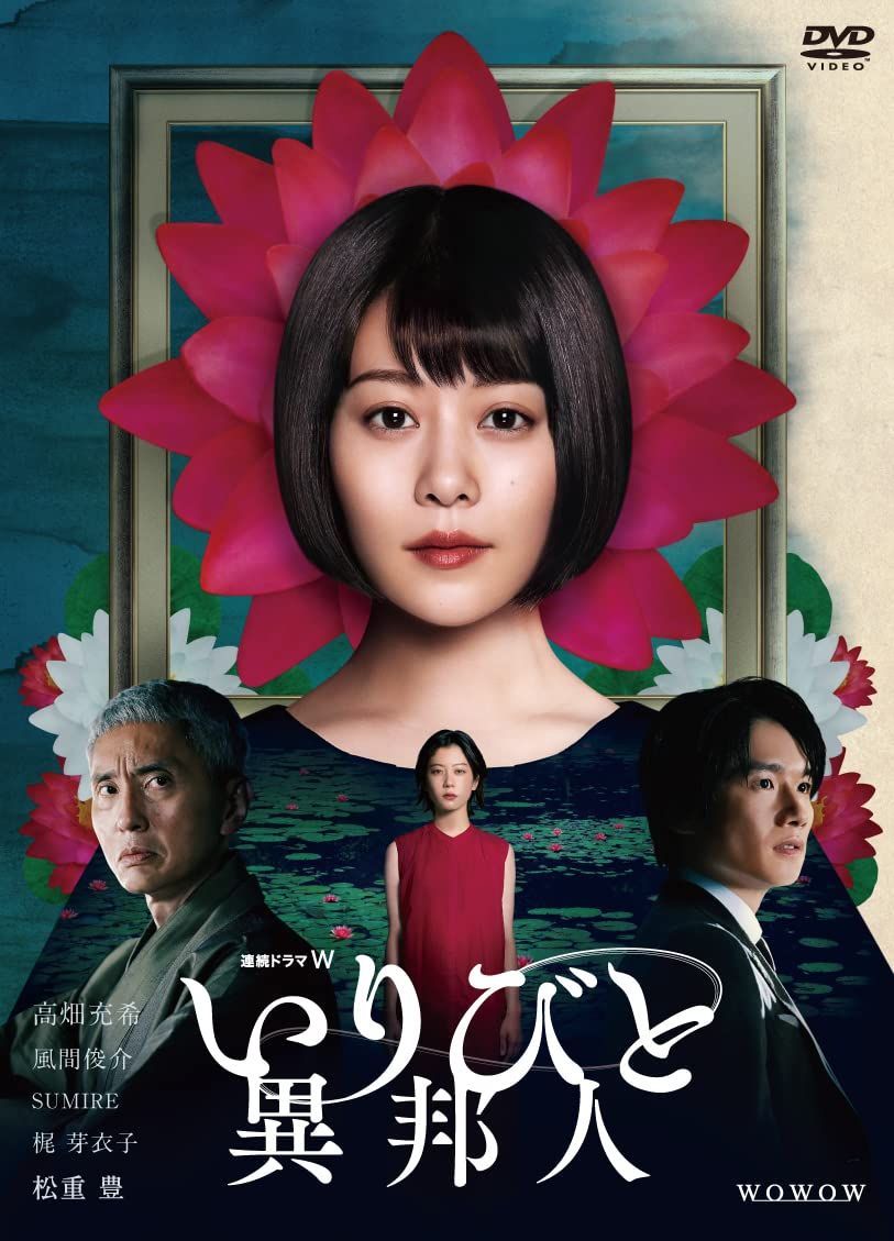 連続ドラマW いりびと-異邦人- DVD-BOX 8,993円