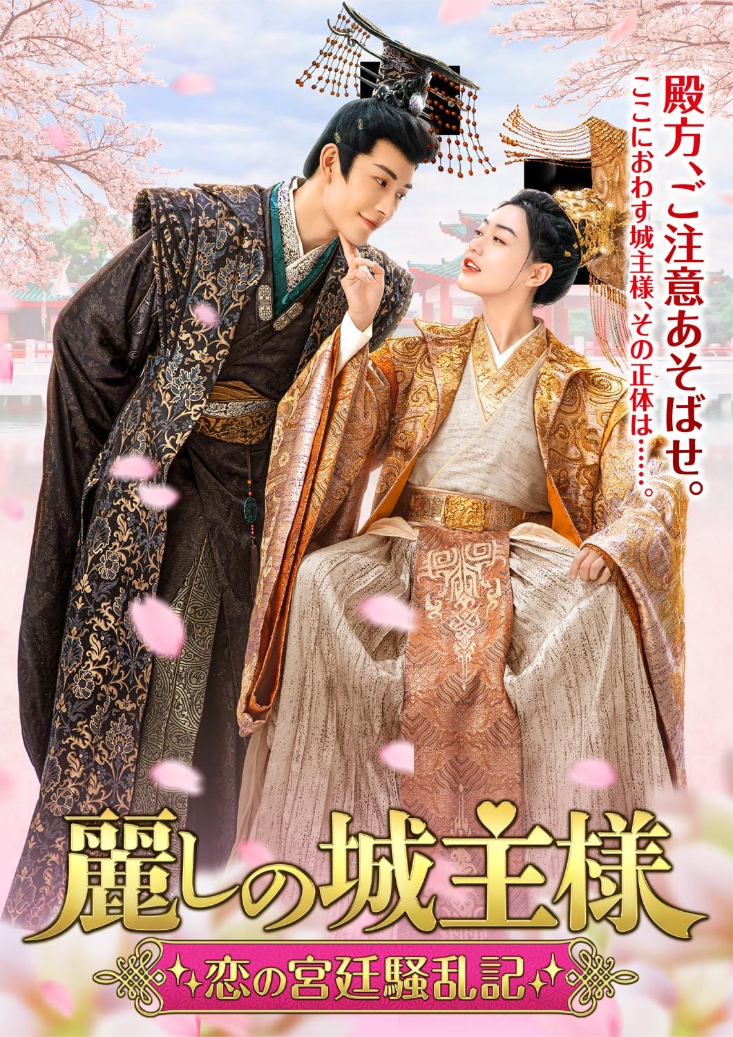 麗しの城主様 DVD-BOX